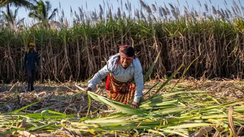 Mulls importing ethanol into India, expand sugar trade to W. Africa, Middle East