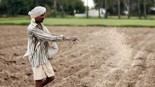 Govt increases rabi season fertilizer subsidy to ₹24,475 crore