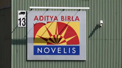 Hindalco defers Novelis IPO: What should investors do now?