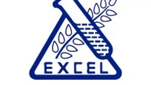 Excel Industries states that the tax authorities have not yet informed them about any specific violations or contraventions