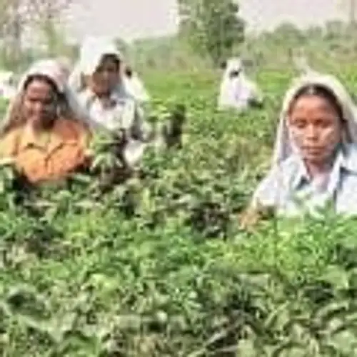 Consumption, high food inflation concern for tea industry: FAITTA chief