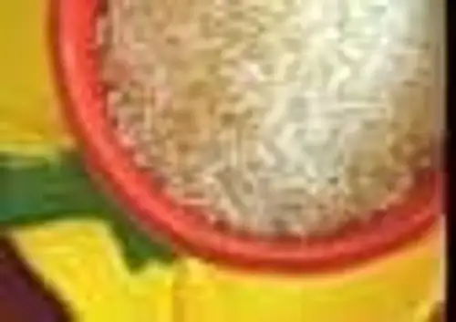 Need to remove basmati rice floor price to boost shipments, say exporters