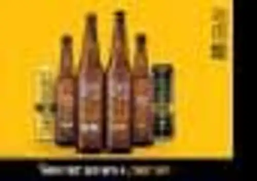 SOM Distilleries launches 'Woodpecker' beer in Karnataka; stock soars 7%