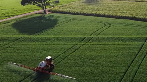 The rise in shares of fertiliser manufacturing companies were seen after the government approved ₹24,474.53 crore subsidy on phosphatic and potassic (P&K) fertilisers for the rabi season of 2024-25 to ensure supply of crop nutrients to farmers at affordable rates.