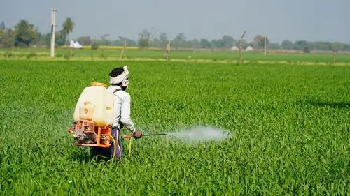 The buyback, representing 1.69% of the company's total paid-up equity capital, will be conducted on a proportionate basis through the ‘tender offer’ route. Shares of Insecticides (India) Ltd ended at ₹998.05, down by ₹1.05, or 0.11%, on the BSE.