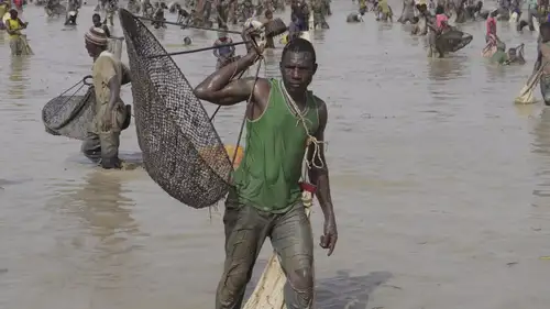 In southern Mali's town of San, the annual Sanke mon fishing ritual faces challenges from climate change. Thousands gather for the traditional event, listed by Unesco, which marks the town's founding. Rising temperatures threaten Sanke pond, central to the ceremony, highlighting broader impacts on local traditions and livelihoods.