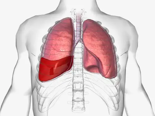 Sanofi and Regeneron received EU approval for broader use of Dupixent in treating chronic obstructive pulmonary disease (COPD), a significant step achieved faster than in the U.S. The EU Commission approved Dupixent for COPD patients not responsive to standard treatments, marking its expanded use beyond conditions like asthma and eczema.