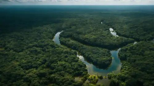 Shocking environmental crime in Bangladesh as 26 people face charges for destroying vital mangrove forests to make way for shrimp and salt farms. Officials from the ruling Awami League party are implicated. Climate change impact worsens as ecosystem loss threatens coastal protection. International concern as world's mangrove ecosystems at risk of collapse.