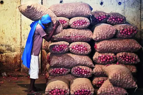 Interest sops in works for companies setting up cold storage facilities for onions