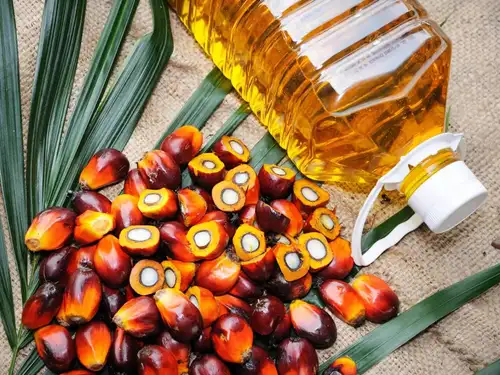 Godrej Agrovet will establish an Oil Palm Processing mill in Tripura's Dhalai district by 2026, initially with 10 tph capacity. They also plan to expand the local nursery, set up an advanced R&amp;D center, and provide comprehensive support to farmers. This will support the National Mission on Edible Oil - Oil Palm and aid regional farmers.