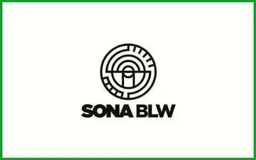 Sona BLW Precision Forgings shares zoom 4% on fund raising plans via QIP