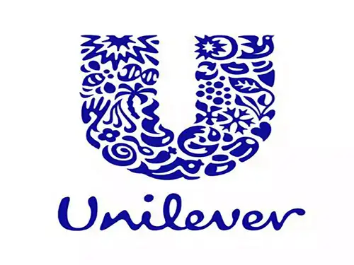 Hindustan Unilever Stocks Live Updates: Hindustan Unilever  Closes at Rs 2932.95 with Diminished Trading Volume