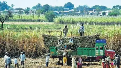 Sugar rush: Stocks of producers advance after government eases curbs on cane-based ethanol production